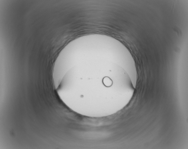 X0000113290041200910131035