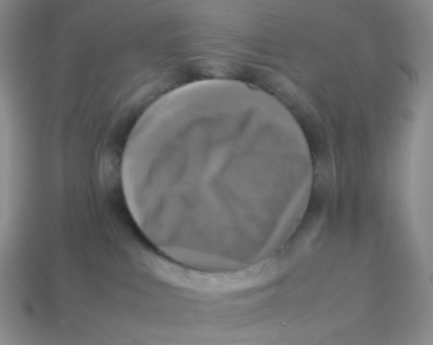 X0000113290043200910131035
