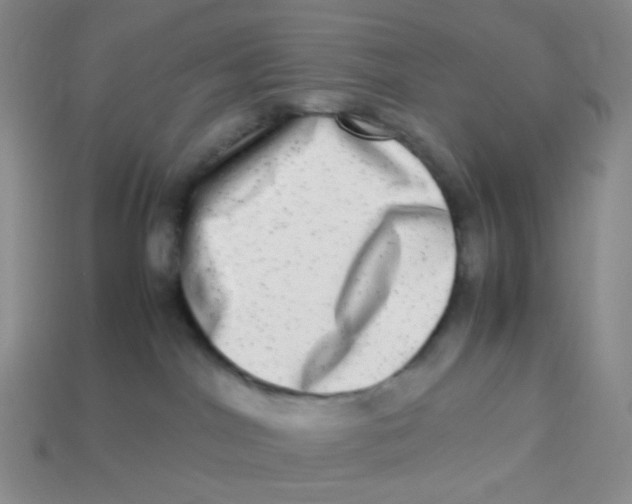 X0000113290044200910131035