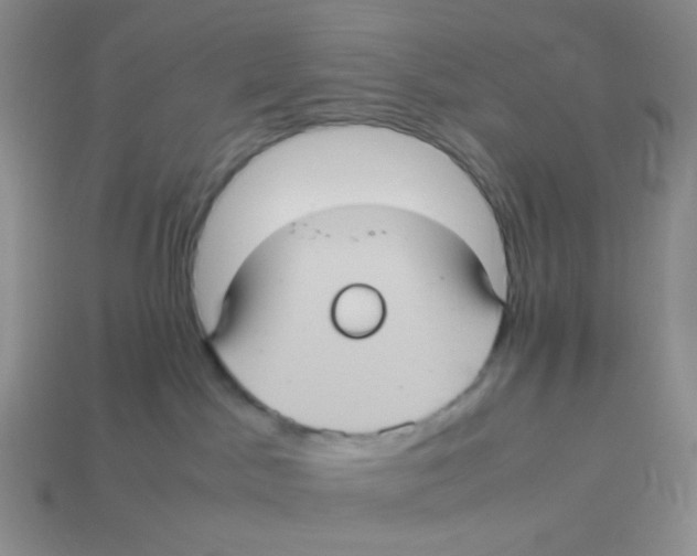 X0000113290045200910131035