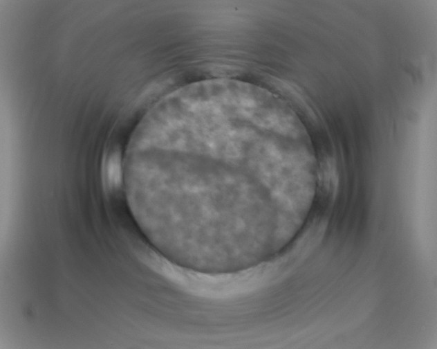 X0000113290046200910131035