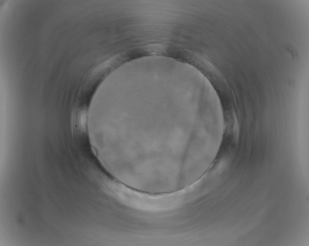 X0000113290047200910131035