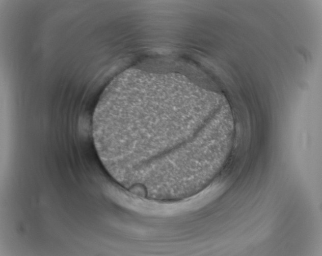 X0000113290048200910131035