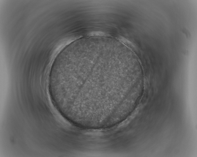 X0000113290049200910131034