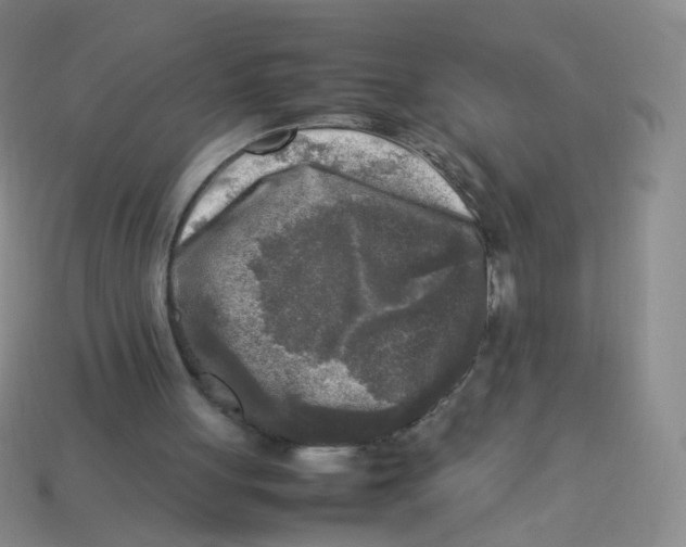 X0000113290051200910131034