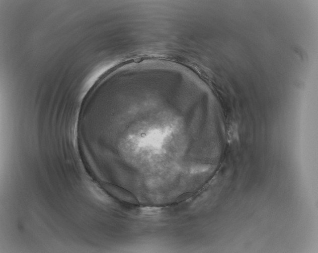 X0000113290052200910131034