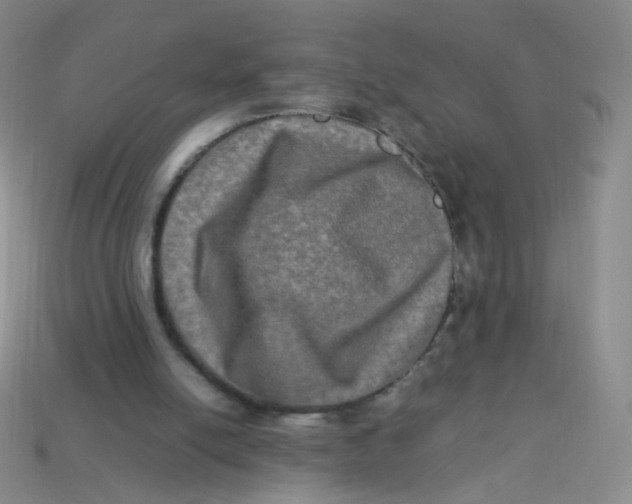 X0000113290054200910131035
