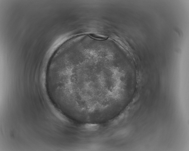 X0000113290055200910131035