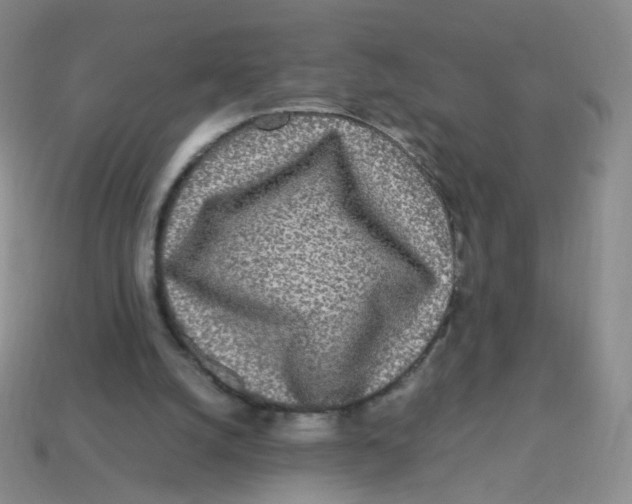X0000113290056200910131035