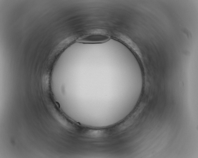 X0000113290057200910131035