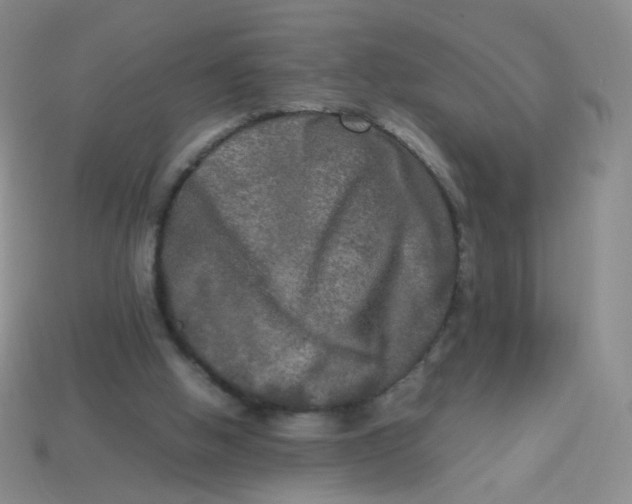 X0000113290058200910131035