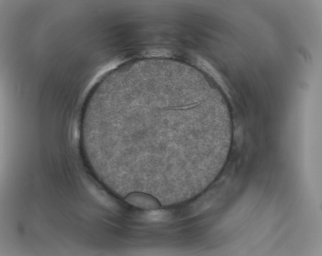 X0000113290059200910131035