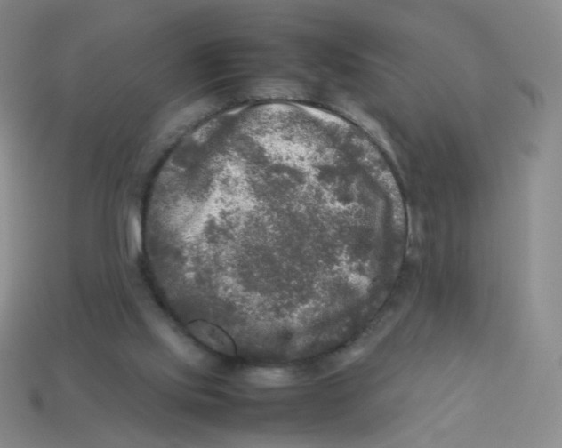 X0000113290061200910131035