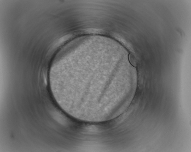 X0000113290062200910131035