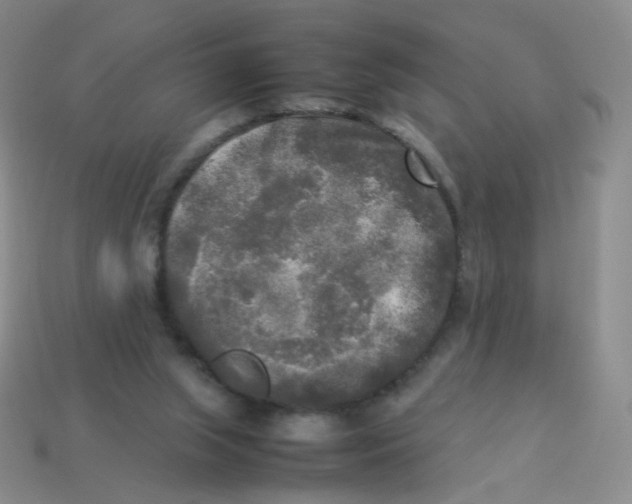 X0000113290063200910131035