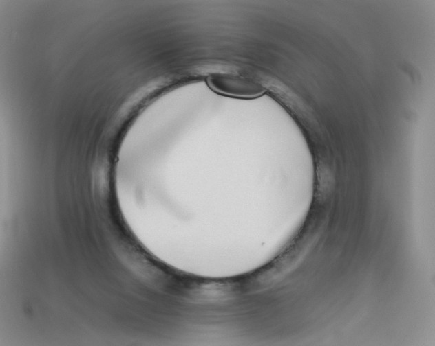 X0000113290064200910131035