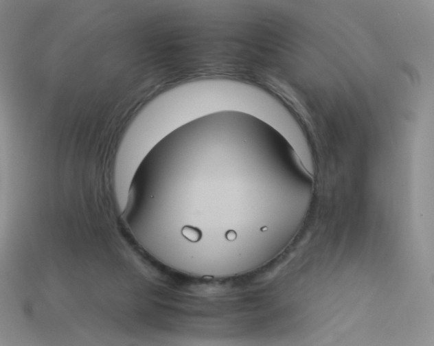 X0000113290065200910131035