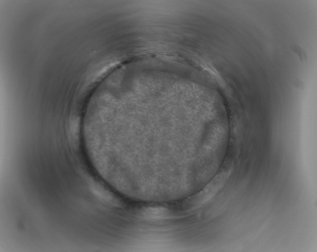 X0000113290066200910131035