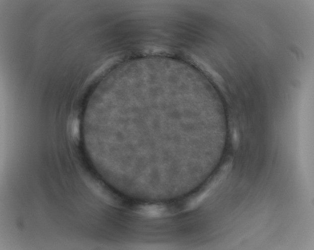 X0000113290067200910131035