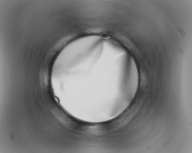 X0000113290068200910131035