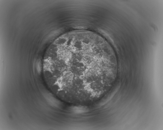 X0000113290069200910131035