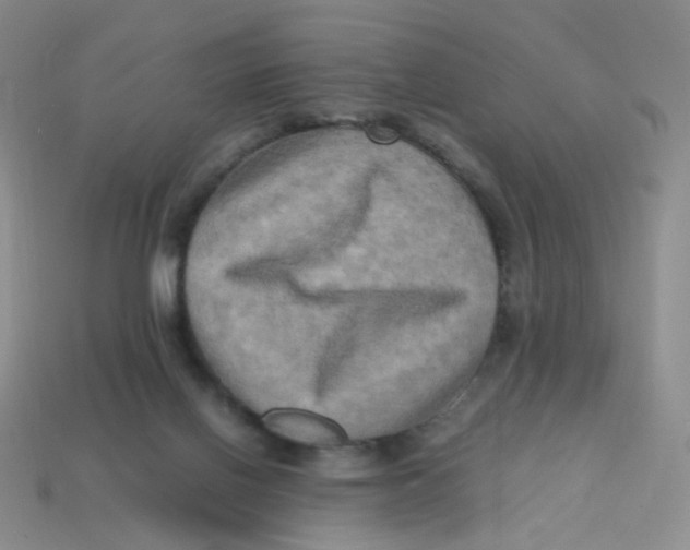 X0000113290070200910131035