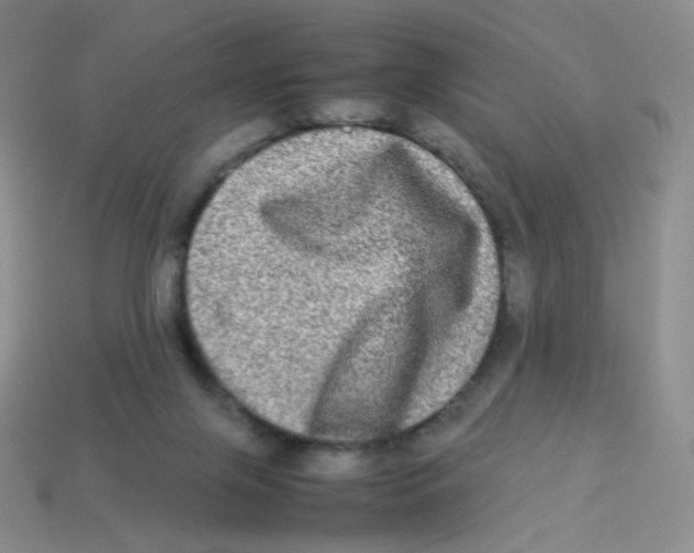 X0000113290071200910131035
