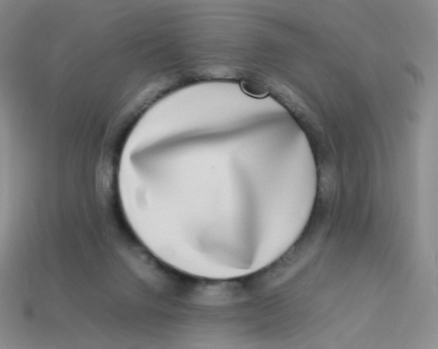 X0000113290072200910131035