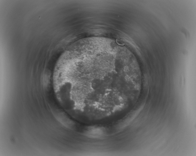 X0000113290073200910131035