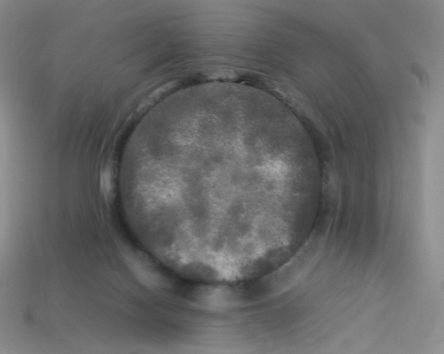 X0000113290074200910131035
