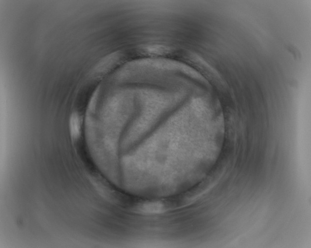 X0000113290075200910131035