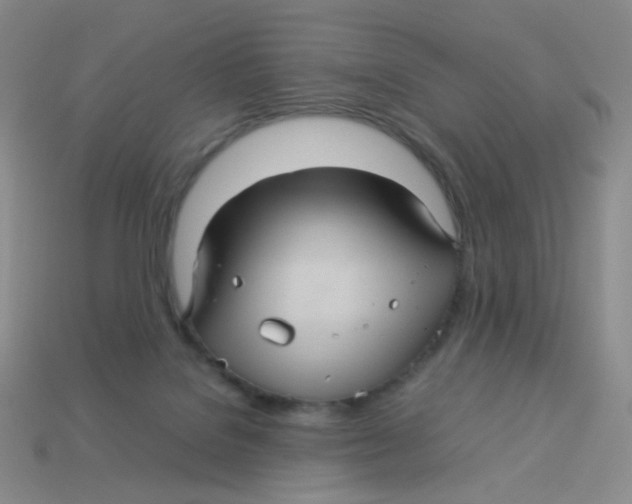 X0000113290076200910131035