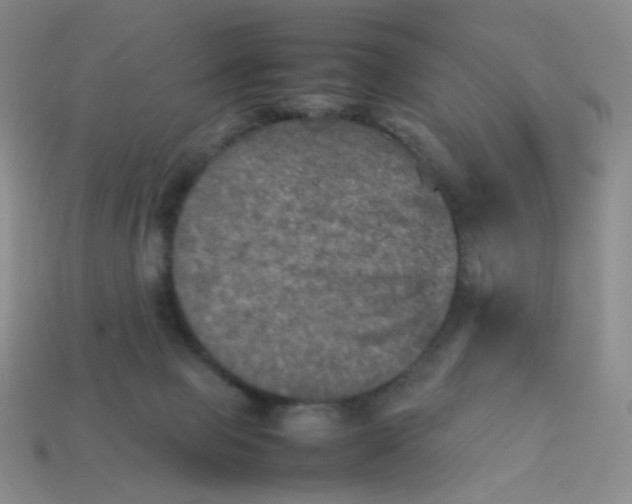 X0000113290077200910131035