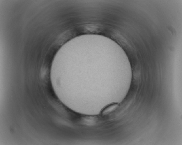 X0000113290079200910131035