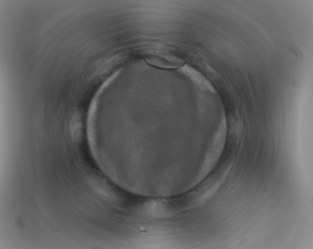 X0000113290080200910131035