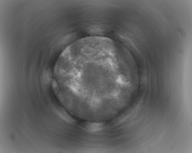 X0000113290081200910131035