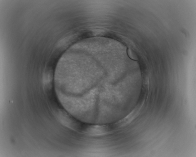 X0000113290082200910131035