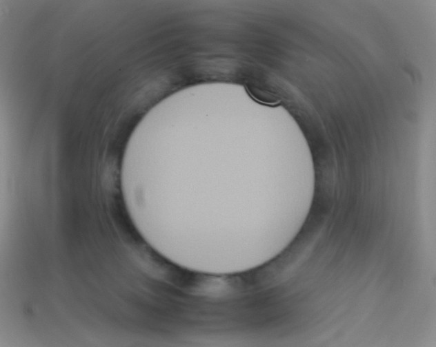 X0000113290083200910131035