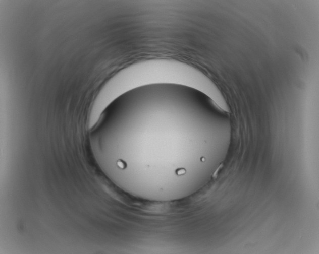 X0000113290084200910131035