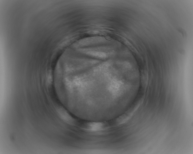 X0000113290085200910131035