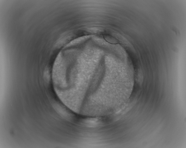 X0000113290086200910131035