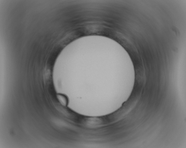 X0000113290087200910131035