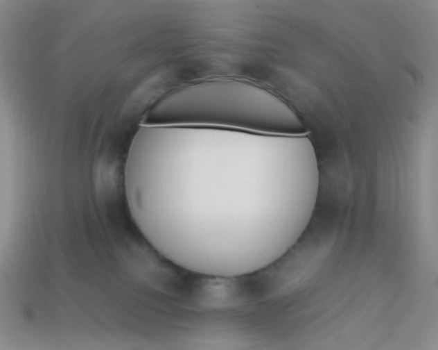X0000113290088200910131035