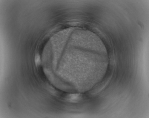 X0000113290089200910131035