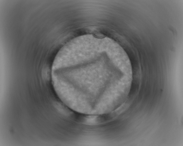 X0000113290090200910131035