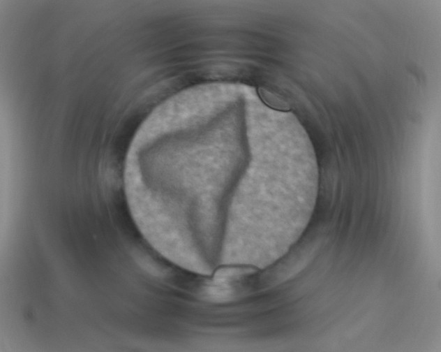 X0000113290091200910131035