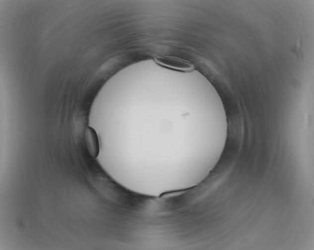 X0000113290092200910131035
