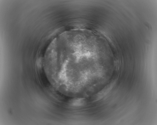 X0000113290093200910131035
