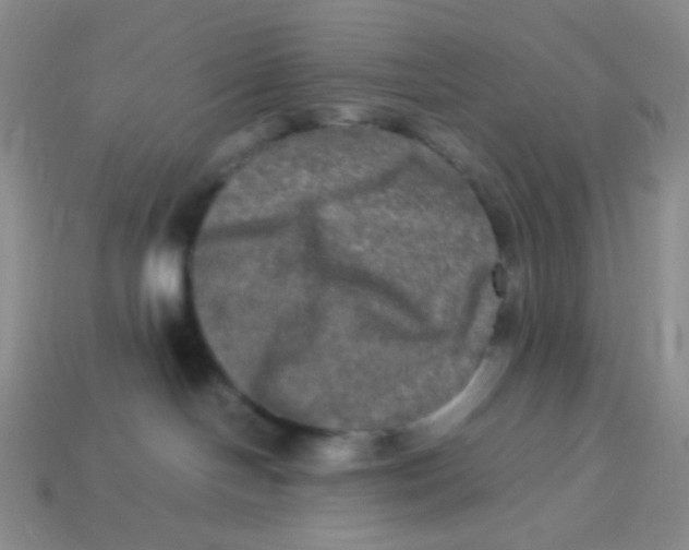 X0000113290094200910131035