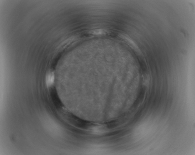 X0000113290095200910131035
